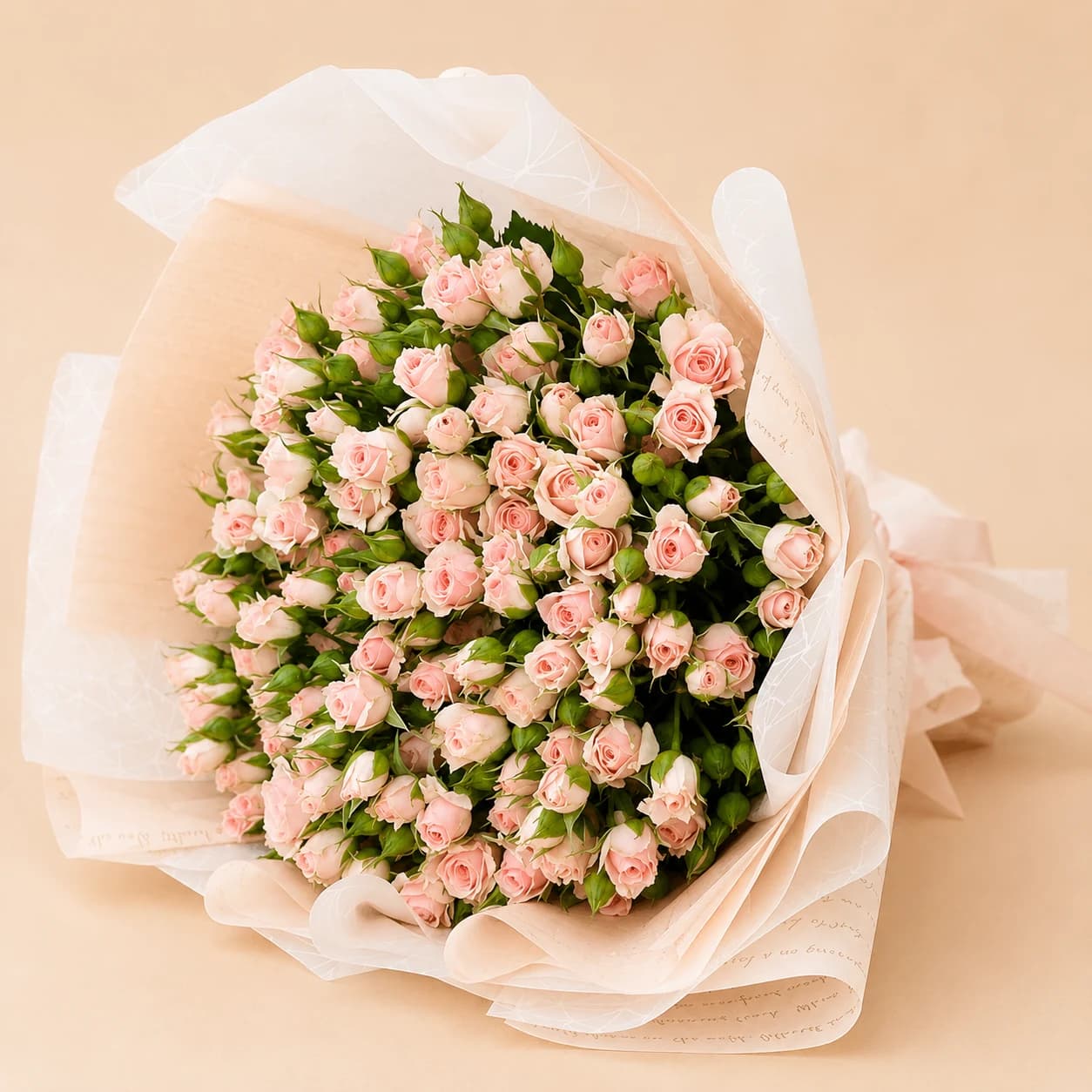 100 Pink Spray Roses