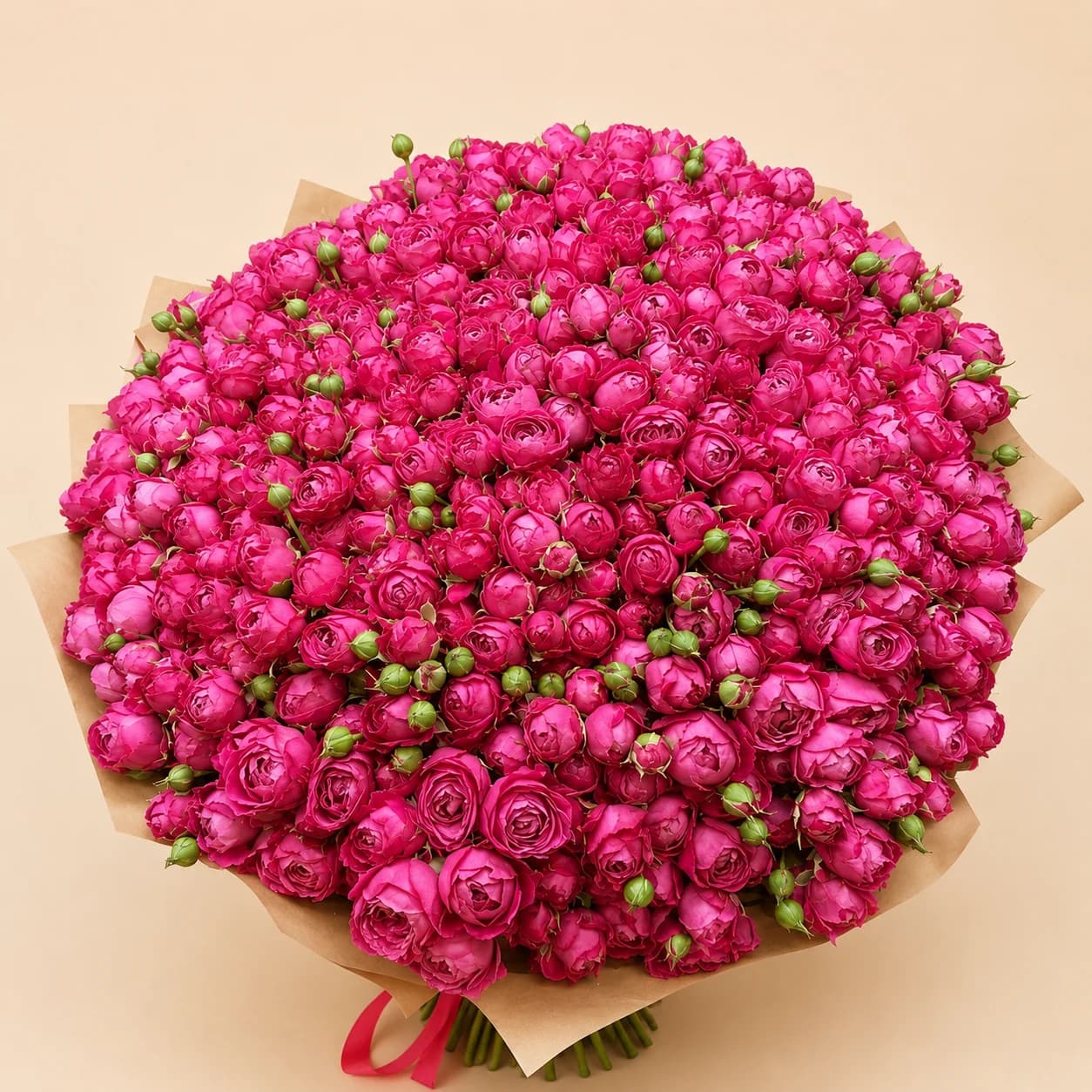 101 Magenta Roses