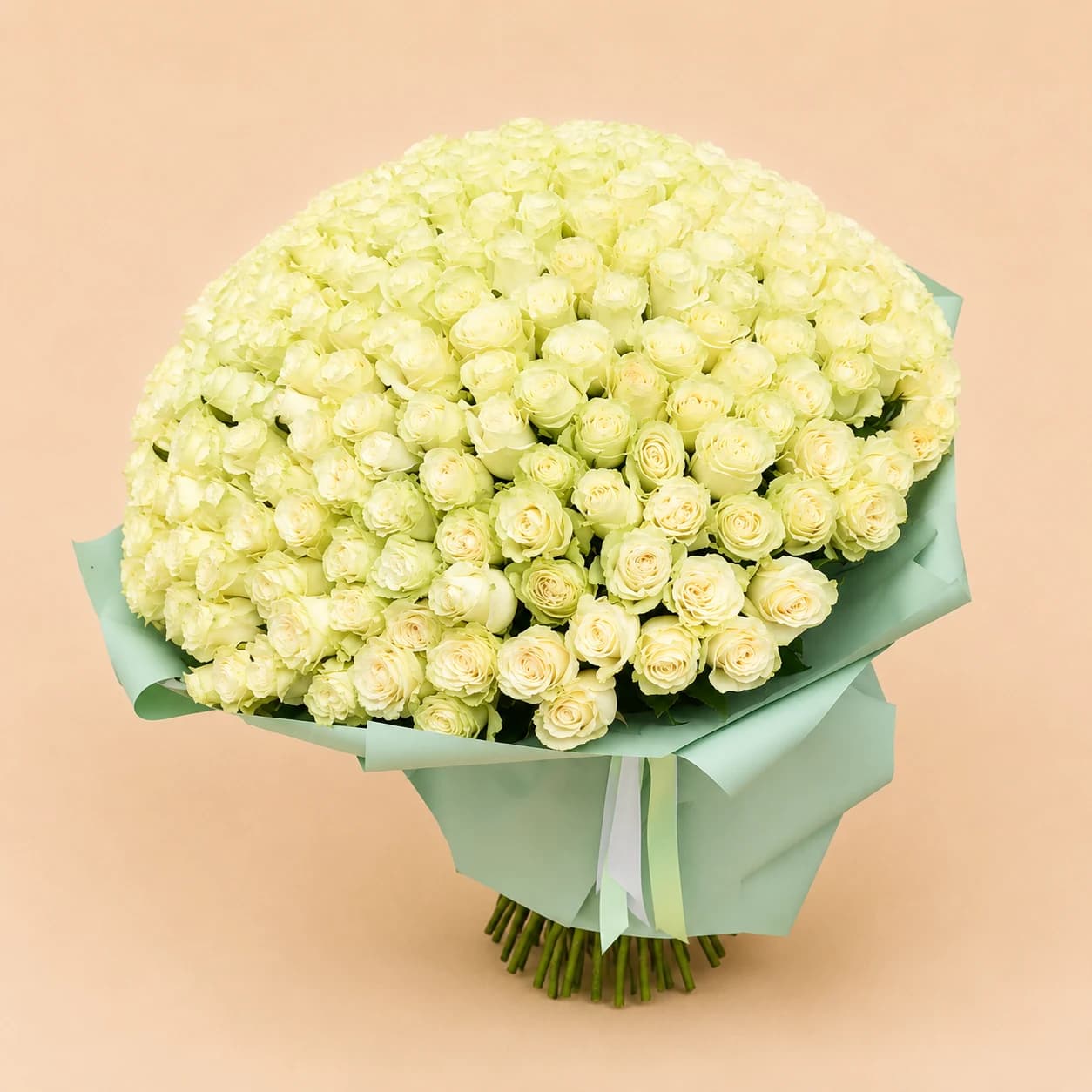 201 White Roses