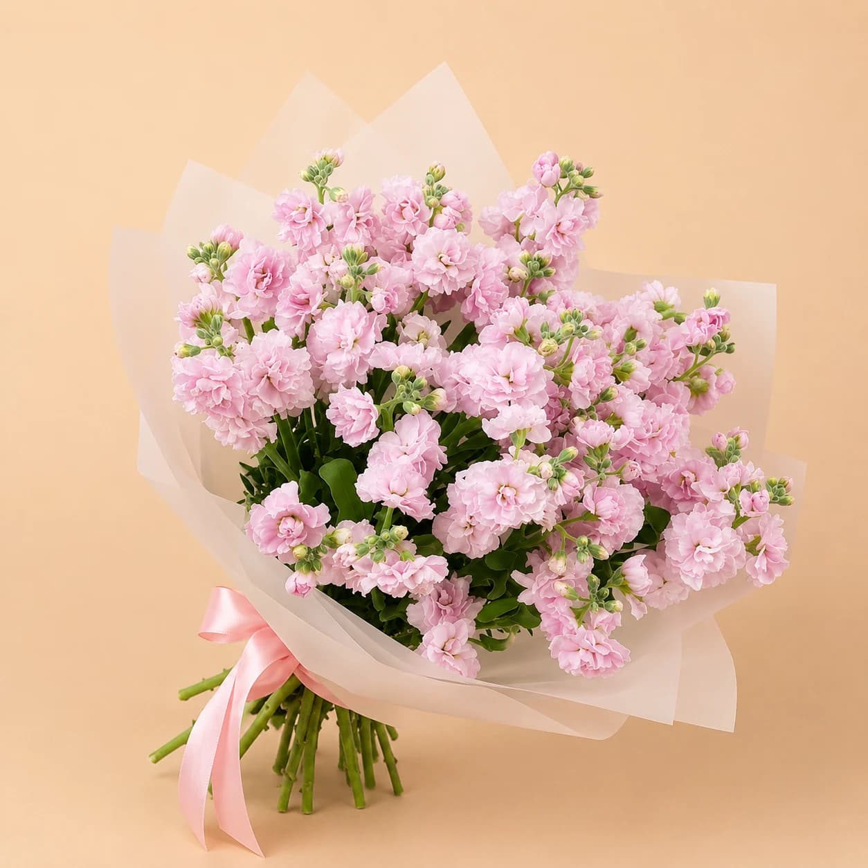 Pink Stock Flowers